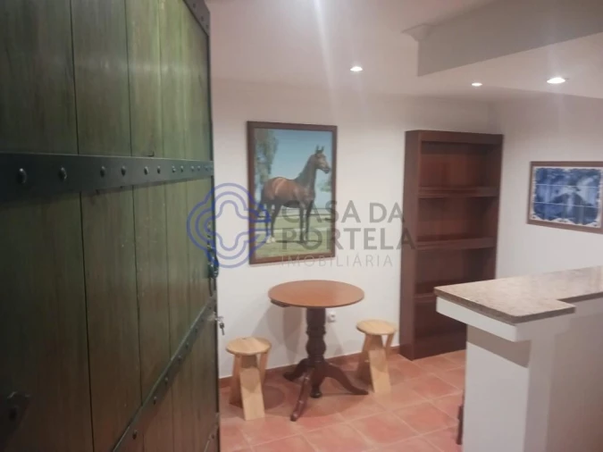 Quinta T4 para Venda em Branca Foto 20