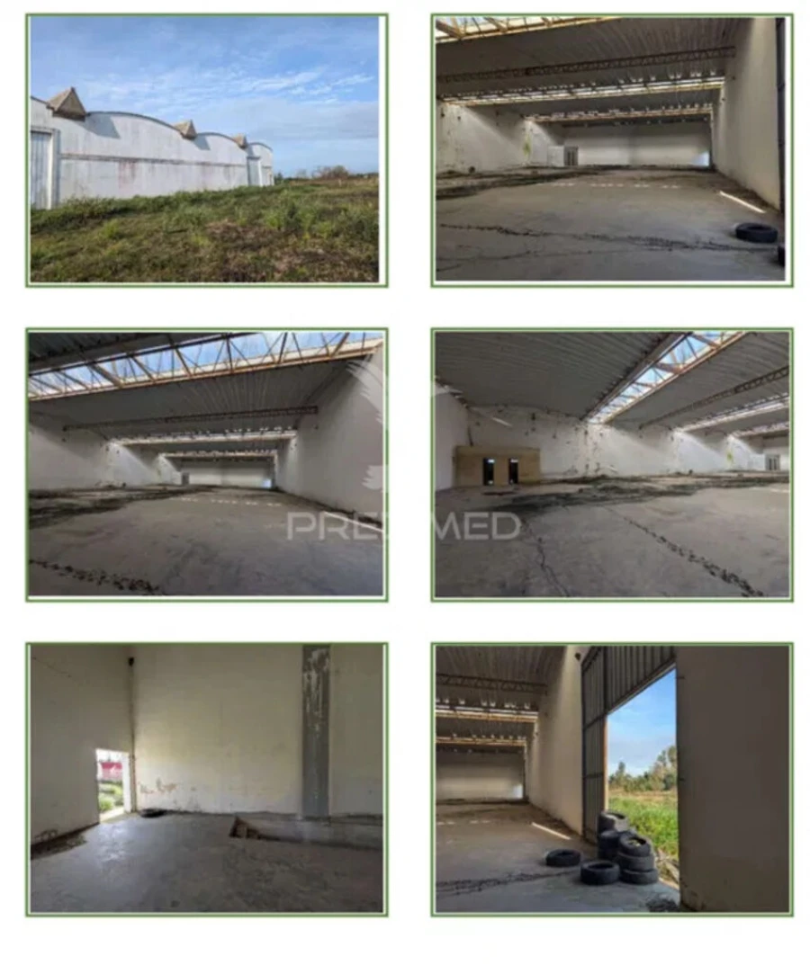 Armazém para Venda em Albergaria-A-Velha e Valmaior Foto 2