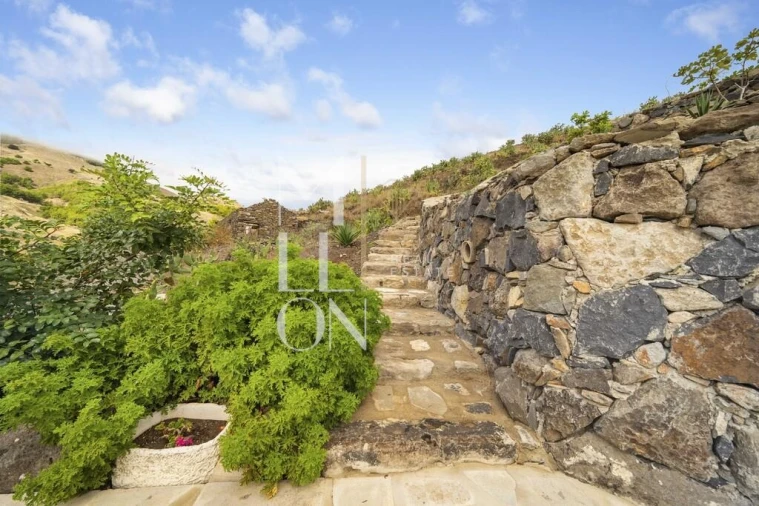 Moradia T1 para Venda em Porto Santo Foto 18