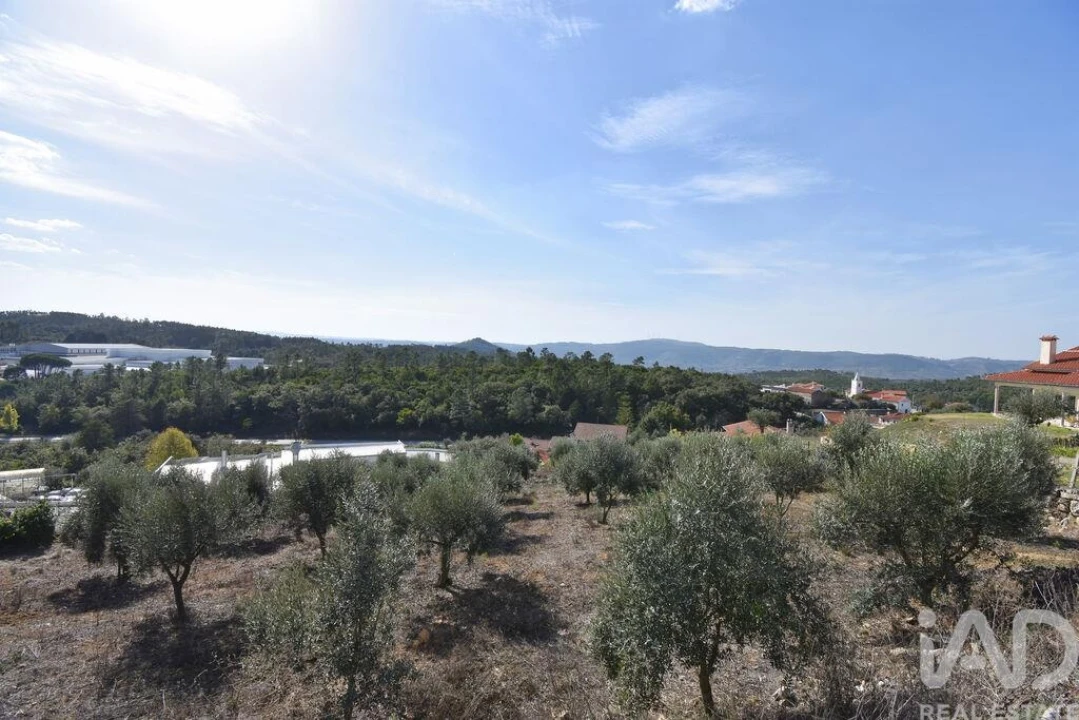 Terreno para Venda em São Miguel, Santa Eufémia e Rabaçal Foto 4