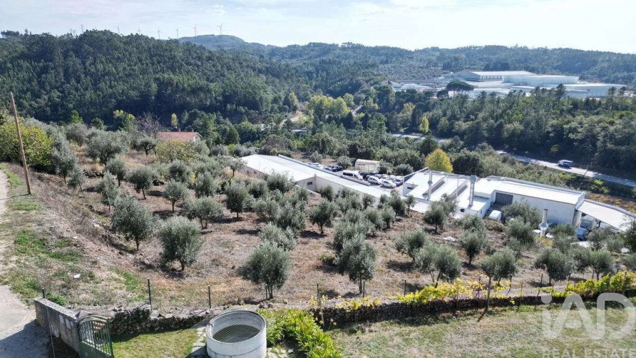 Terreno para Venda em São Miguel, Santa Eufémia e Rabaçal Foto 6