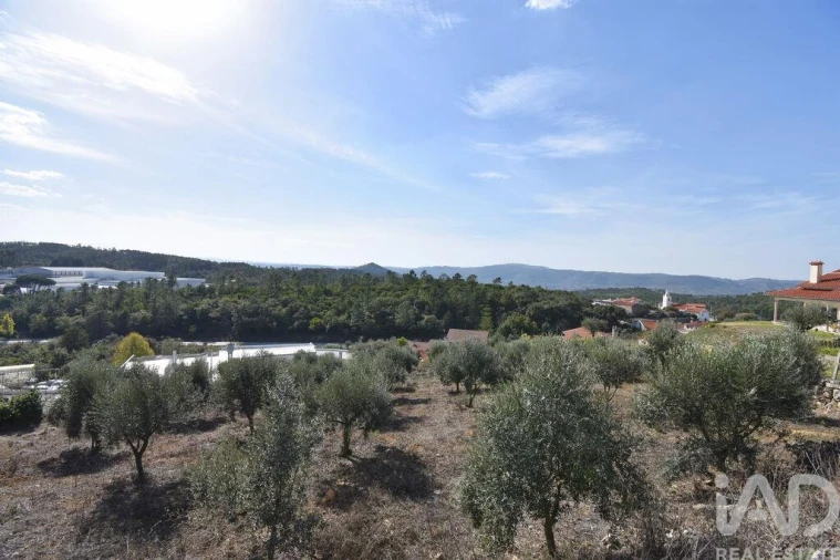 Terreno para Venda em São Miguel, Santa Eufémia e Rabaçal Foto 4