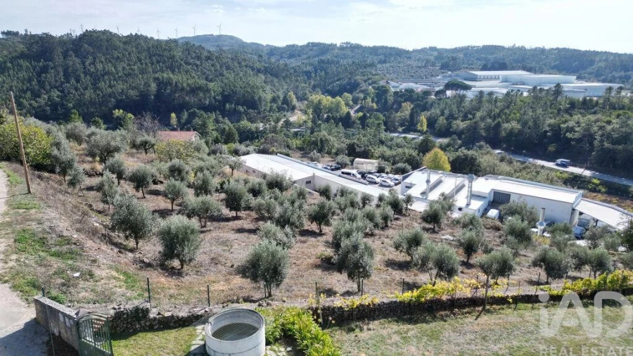 Terreno para Venda em São Miguel, Santa Eufémia e Rabaçal Foto 6