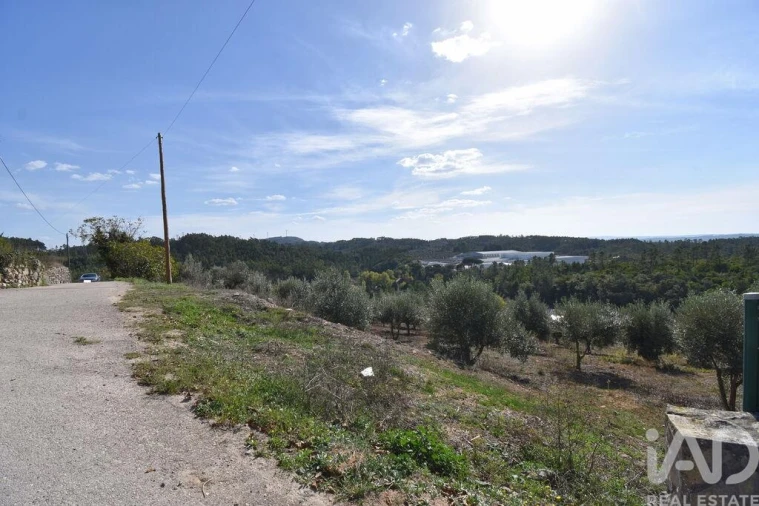 Terreno para Venda em São Miguel, Santa Eufémia e Rabaçal Foto 12