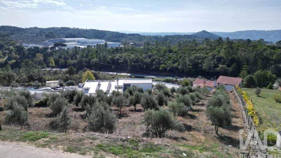 Terreno para Venda em São Miguel, Santa Eufémia e Rabaçal Foto 5