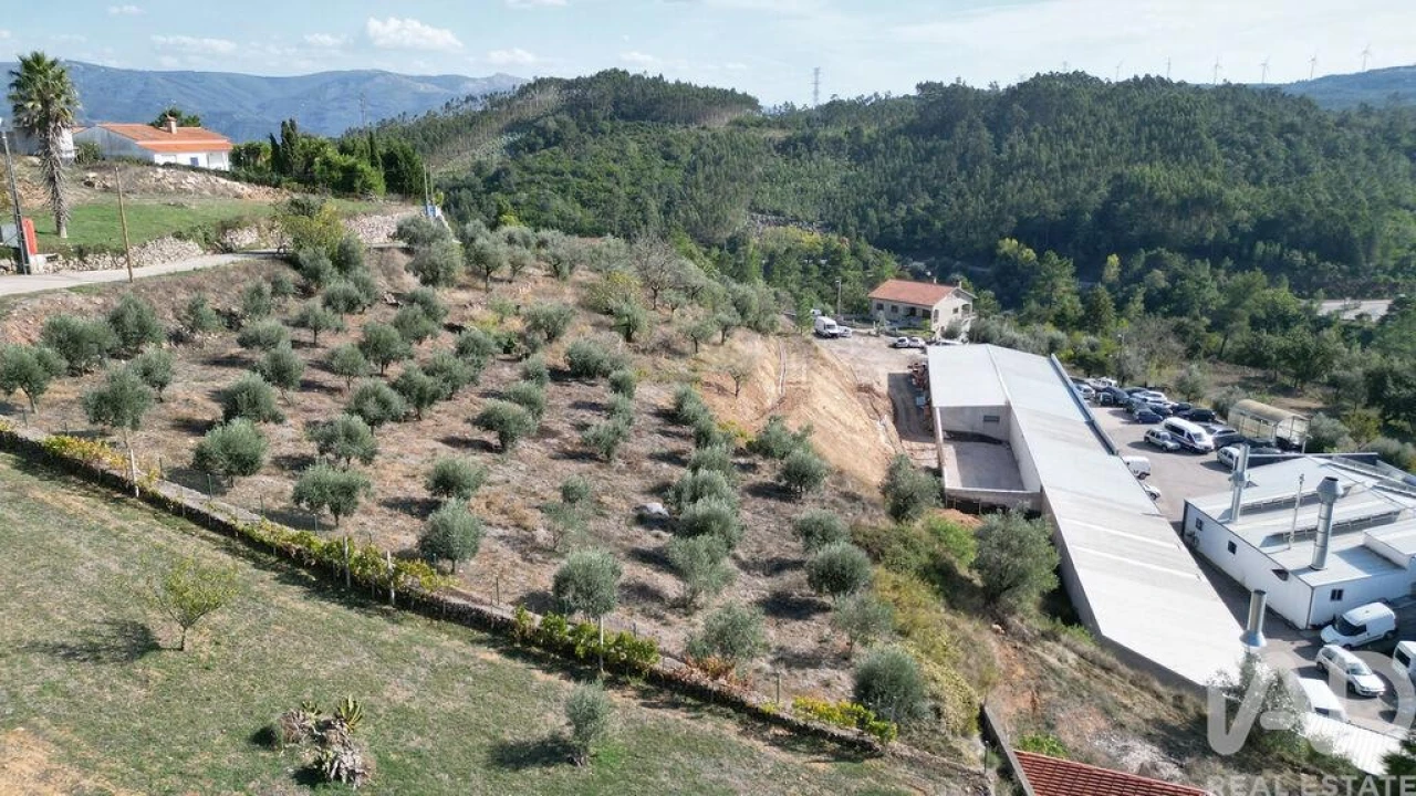 Terreno para Venda em São Miguel, Santa Eufémia e Rabaçal Foto 7