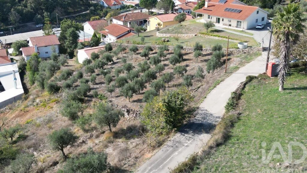 Terreno para Venda em São Miguel, Santa Eufémia e Rabaçal Foto 10