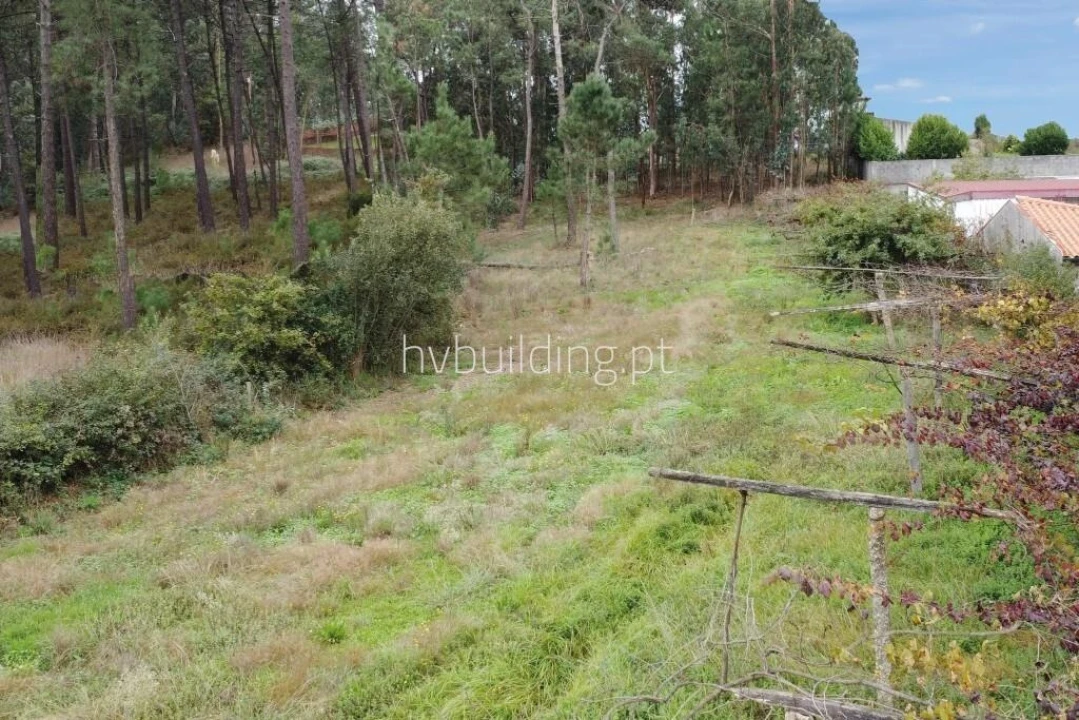 Terreno para Venda em Cristelo Foto 3