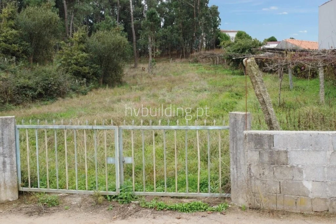 Terreno para Venda em Cristelo Foto 5