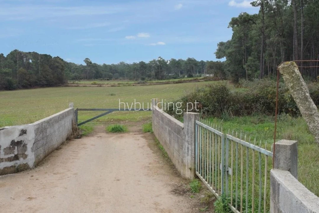 Terreno para Venda em Cristelo Foto 6
