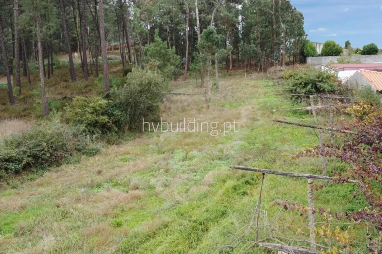 Terreno para Venda em Cristelo Foto 3