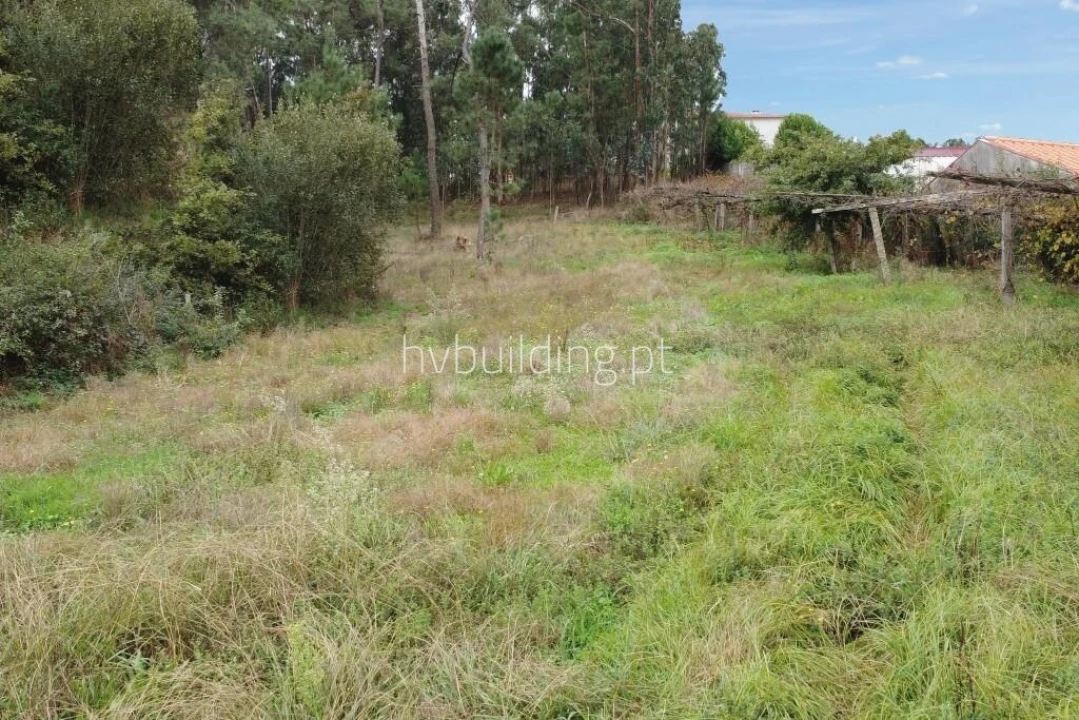 Terreno para Venda em Cristelo Foto 4