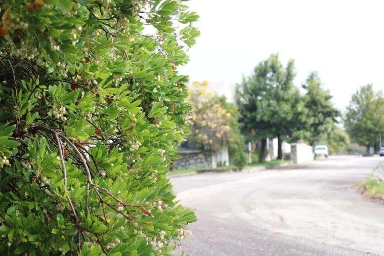 Prédio para Venda em Sarnadas de Rodão Foto 28