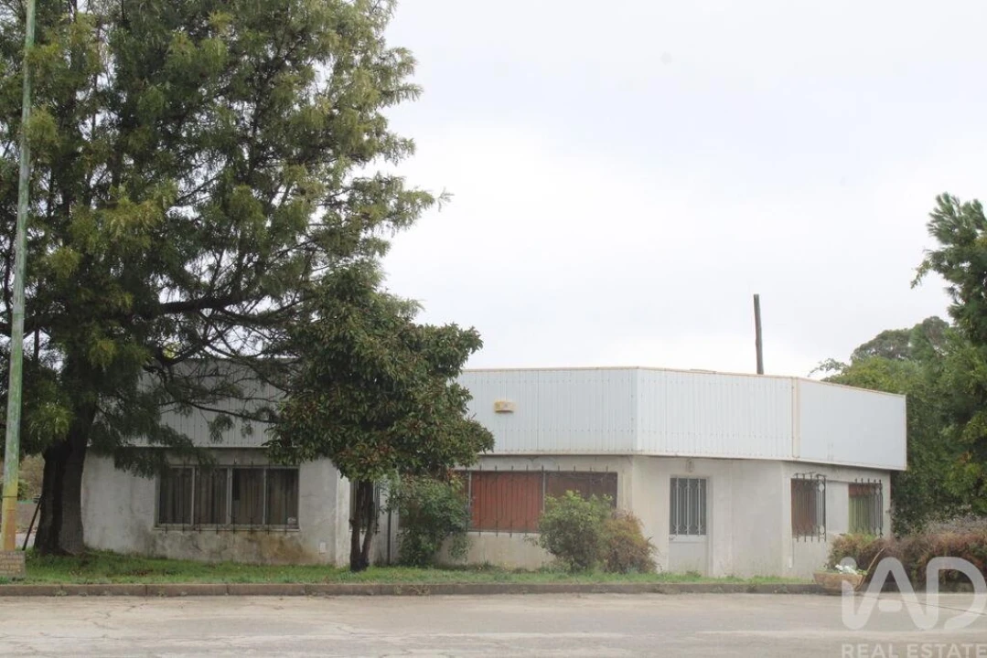 Prédio para Venda em Sarnadas de Rodão Foto 5