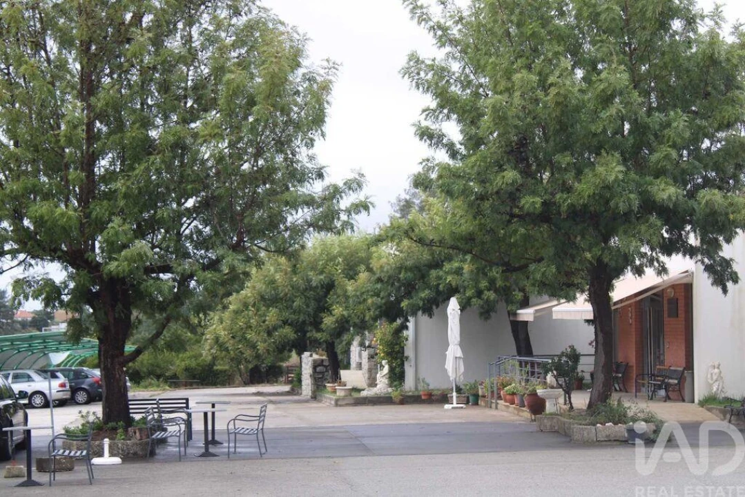 Prédio para Venda em Sarnadas de Rodão Foto 1