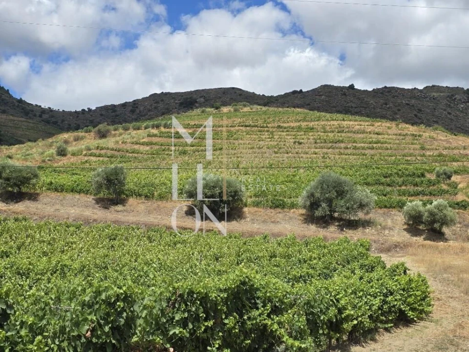 Quinta T3 para Venda em Seixo de Ansiães Foto 2