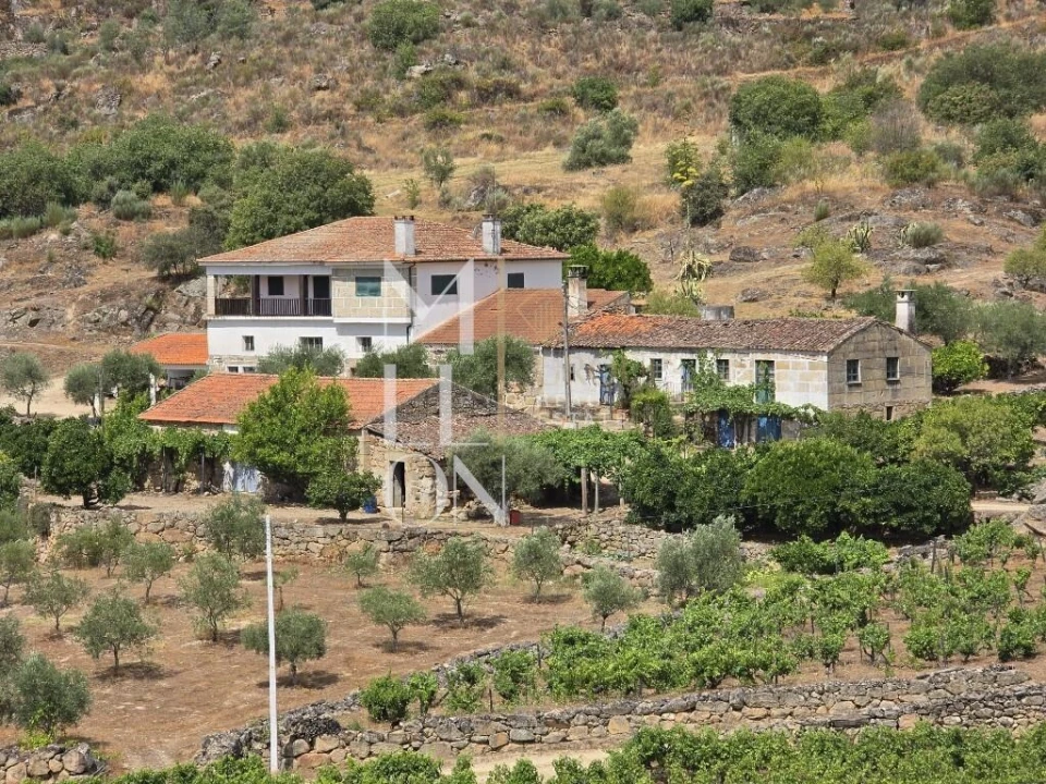 Quinta T3 para Venda em Seixo de Ansiães Foto 5