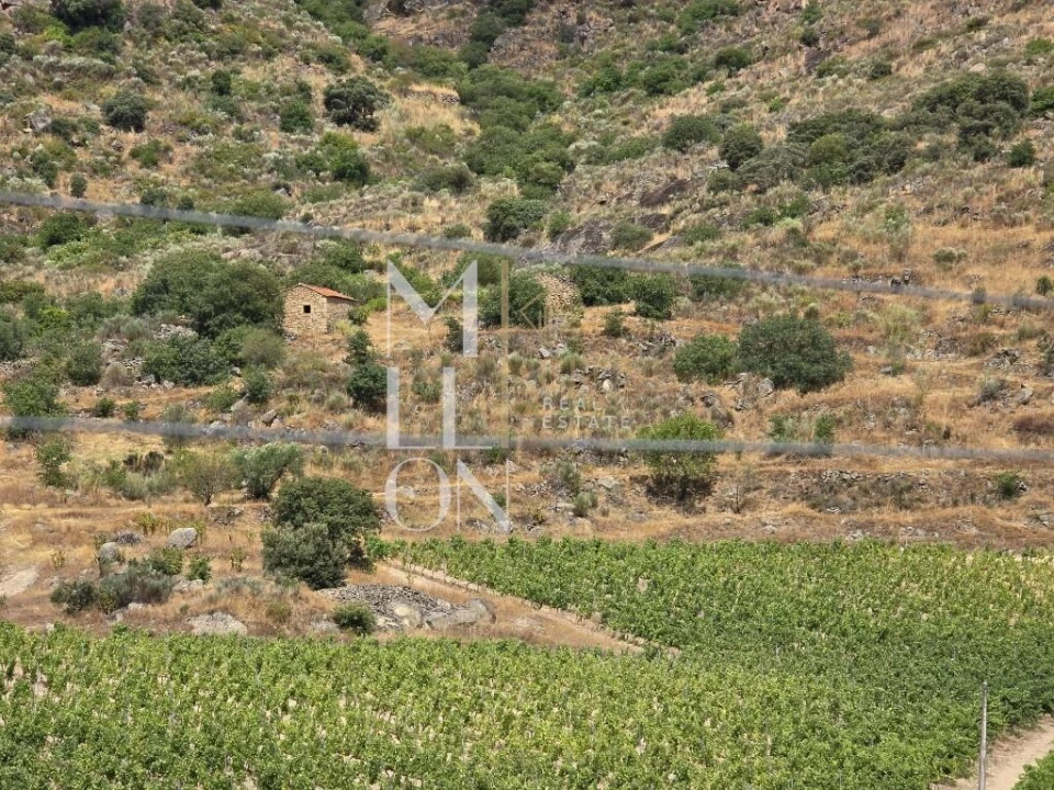Quinta T3 para Venda em Seixo de Ansiães Foto 7