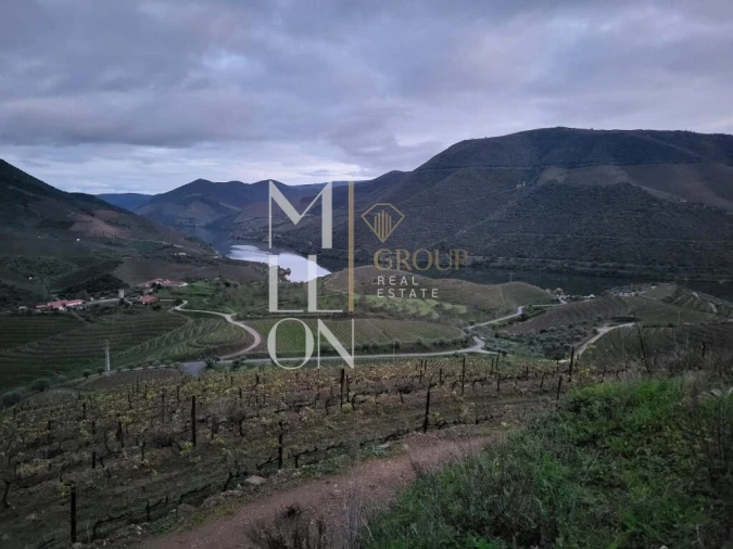 Quinta T3 para Venda em Seixo de Ansiães Foto 14