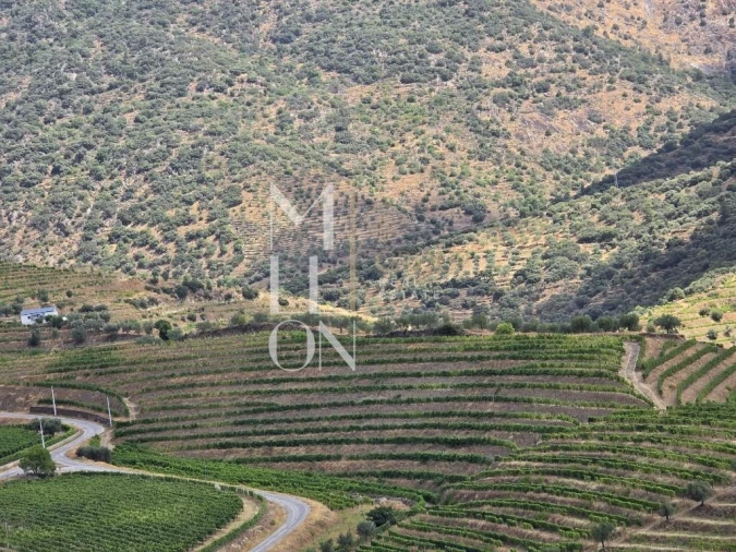 Quinta T3 para Venda em Seixo de Ansiães Foto 6