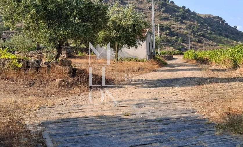 Quinta T3 para Venda em Seixo de Ansiães Foto 9