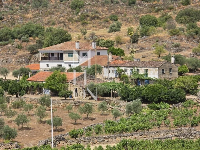 Quinta T3 para Venda em Seixo de Ansiães Foto 5