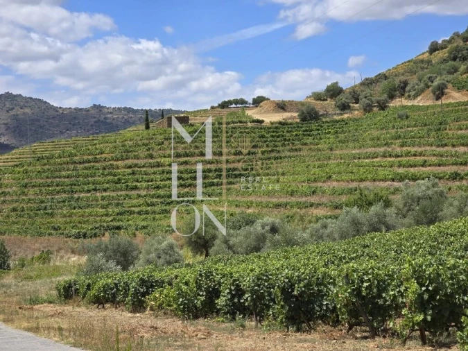 Quinta T3 para Venda em Seixo de Ansiães Foto 3