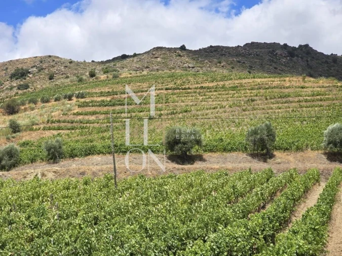 Quinta T3 para Venda em Seixo de Ansiães Foto 4