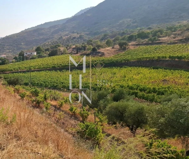 Quinta T3 para Venda em Seixo de Ansiães Foto 12
