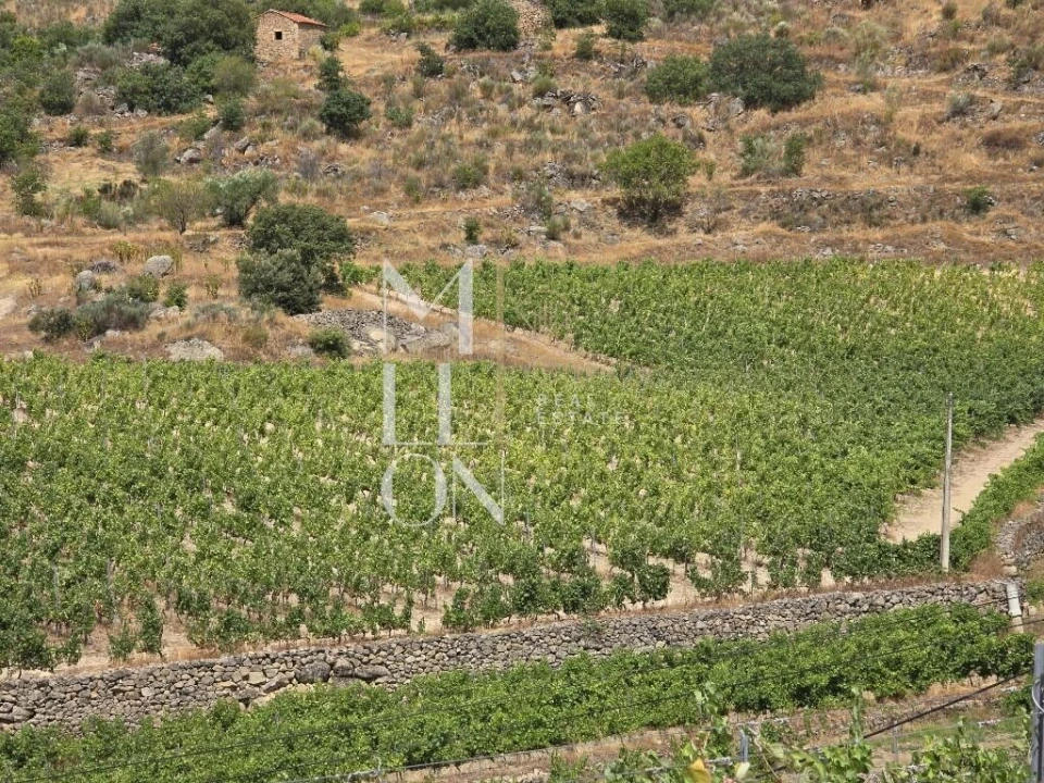 Quinta T3 para Venda em Seixo de Ansiães Foto 8
