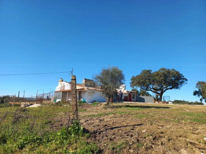 Terreno para Venda em Malagueira e Horta das Figueiras Foto 21