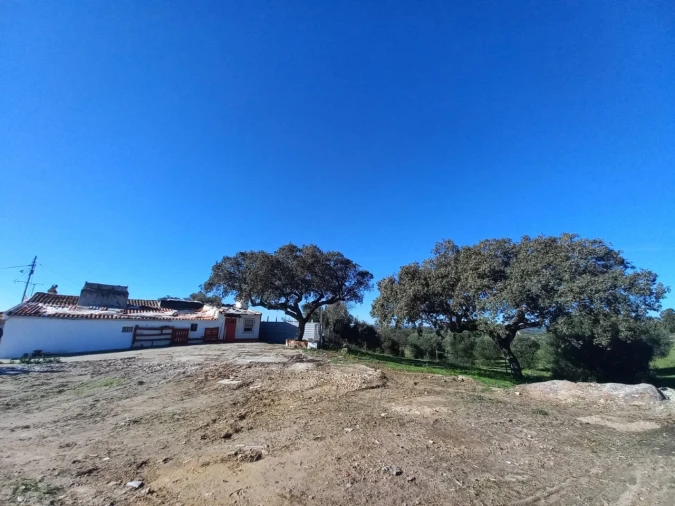 Terreno para Venda em Malagueira e Horta das Figueiras Foto 6