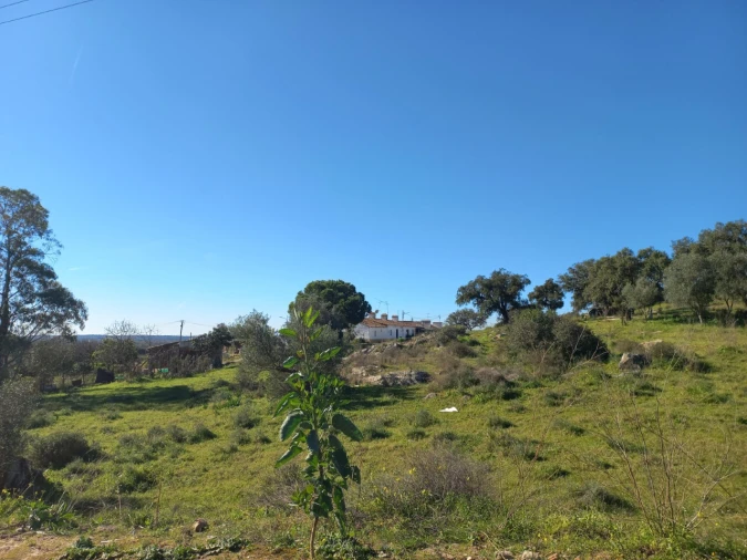 Terreno para Venda em Malagueira e Horta das Figueiras Foto 26