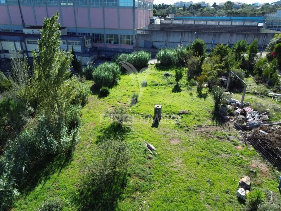 Terreno para Venda em Fatima Foto 14