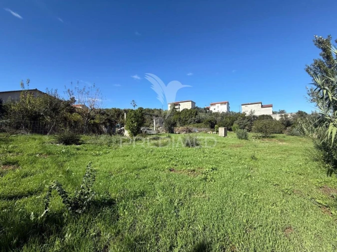 Terreno para Venda em Fatima Foto 11