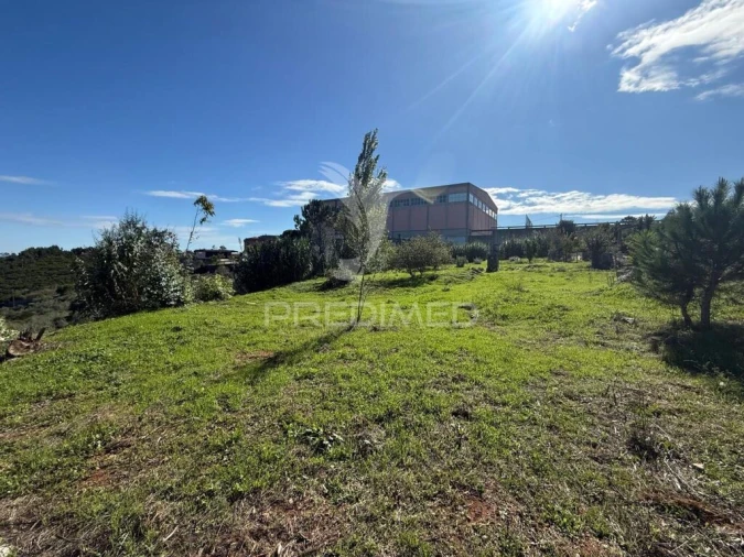 Terreno para Venda em Fatima Foto 6