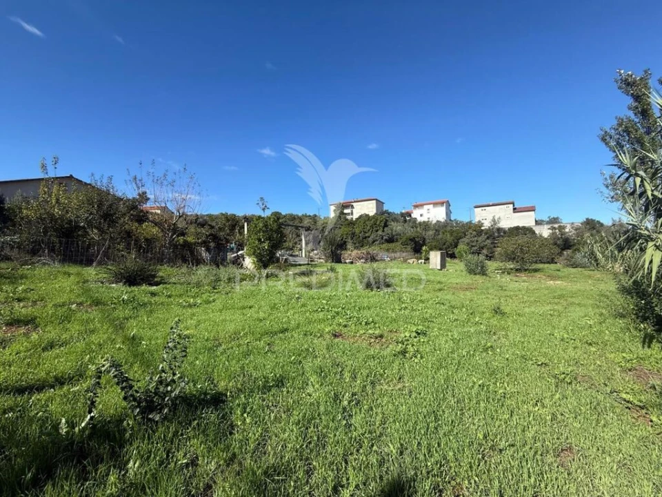 Terreno para Venda em Fatima Foto 11