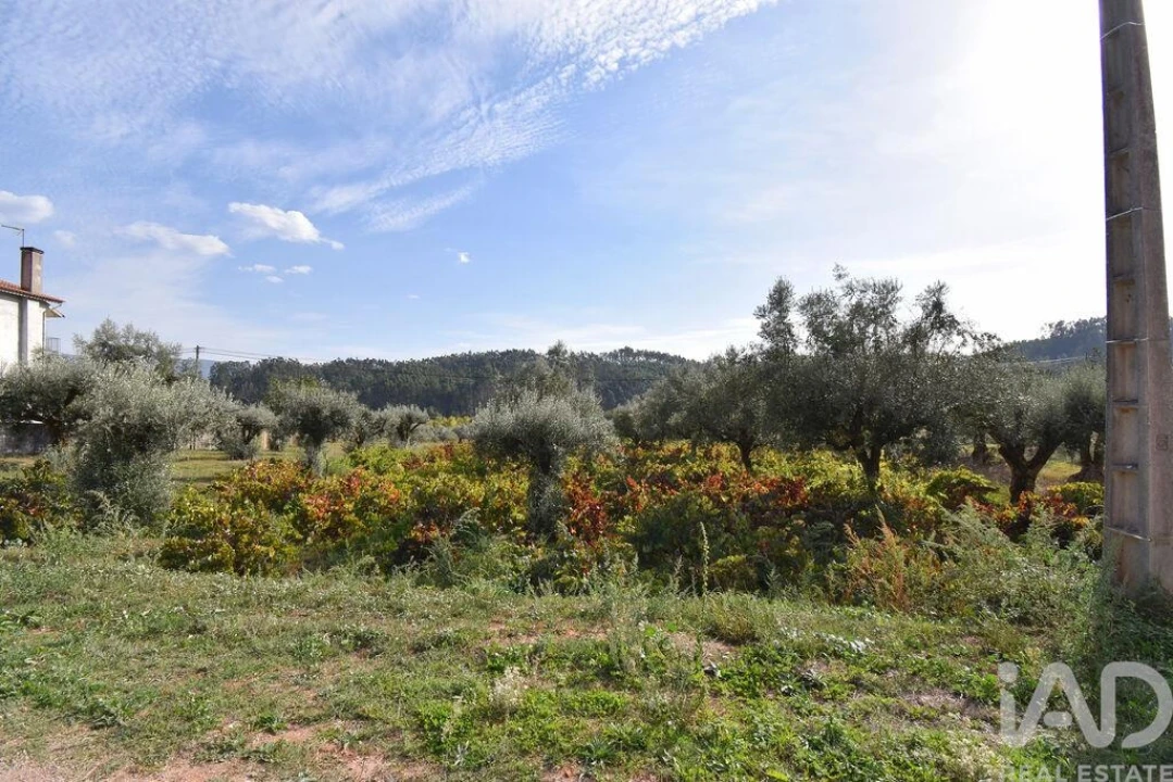 Terreno para Venda em Podentes Foto 12
