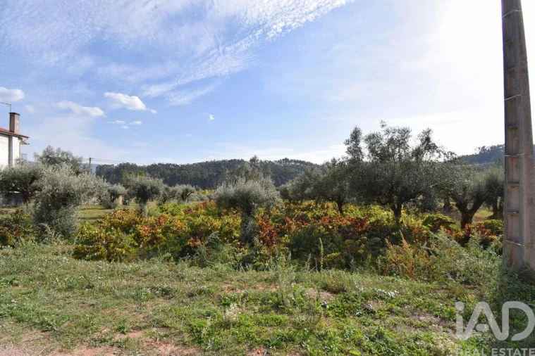 Terreno para Venda em Podentes Foto 12