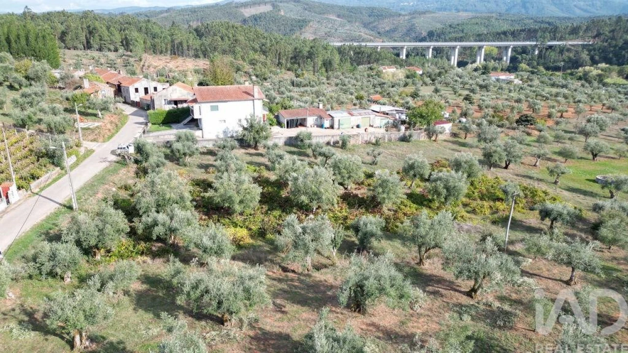 Terreno para Venda em Podentes Foto 4