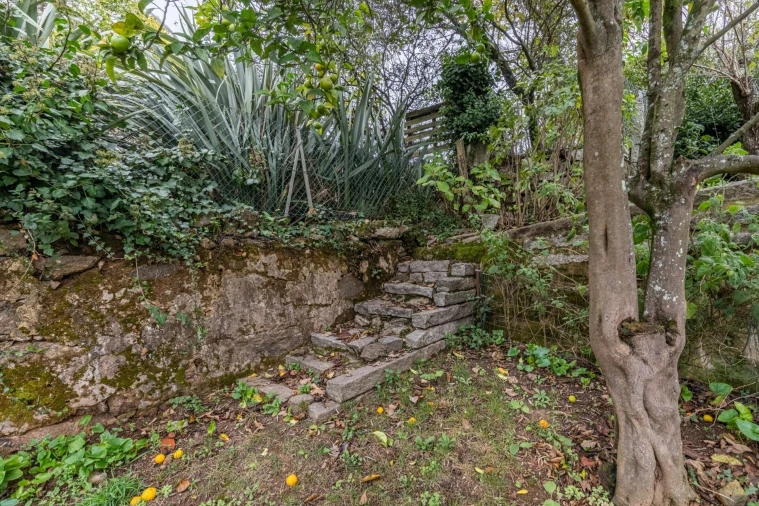 Moradia T3 para Venda em Grijó e Sermonde Foto 14