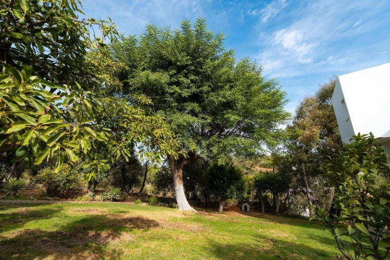 Moradia T4 para Venda em Loule (São Sebastião) Foto 56