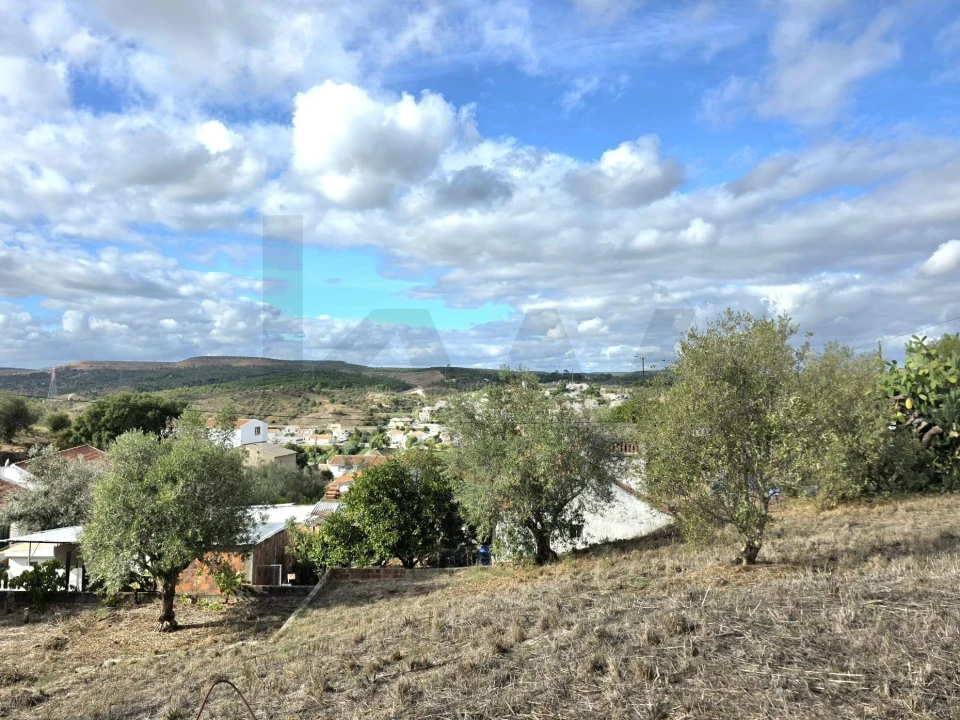 Terreno para Venda em Carregueira Foto 5