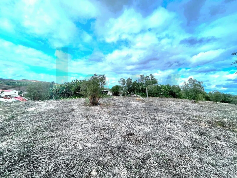 Terreno para Venda em Carregueira Foto 27