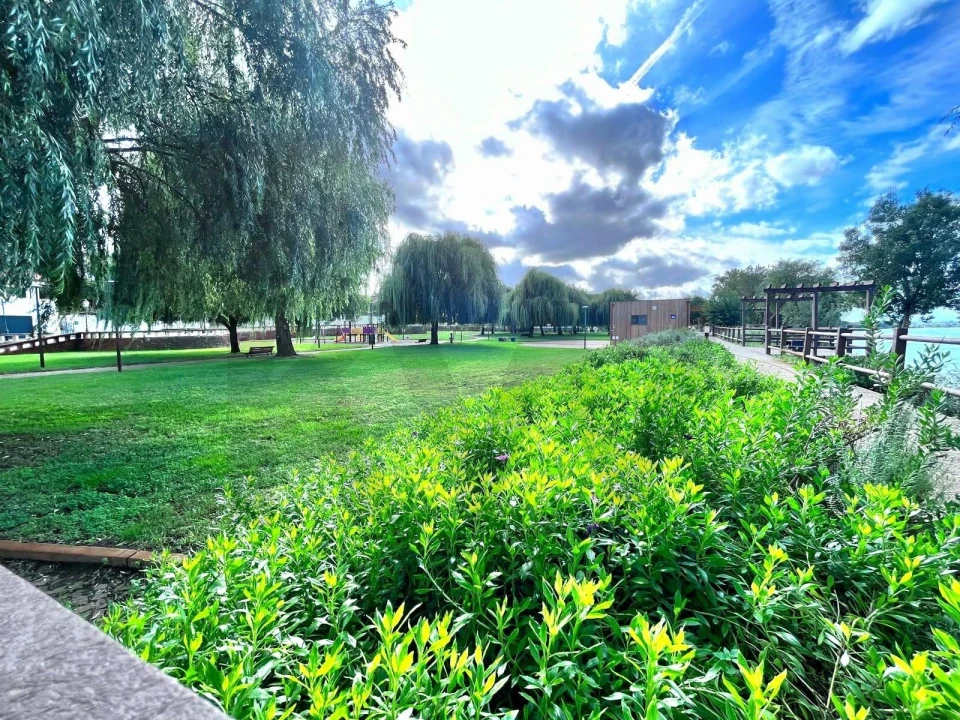 Terreno para Venda em Carregueira Foto 24