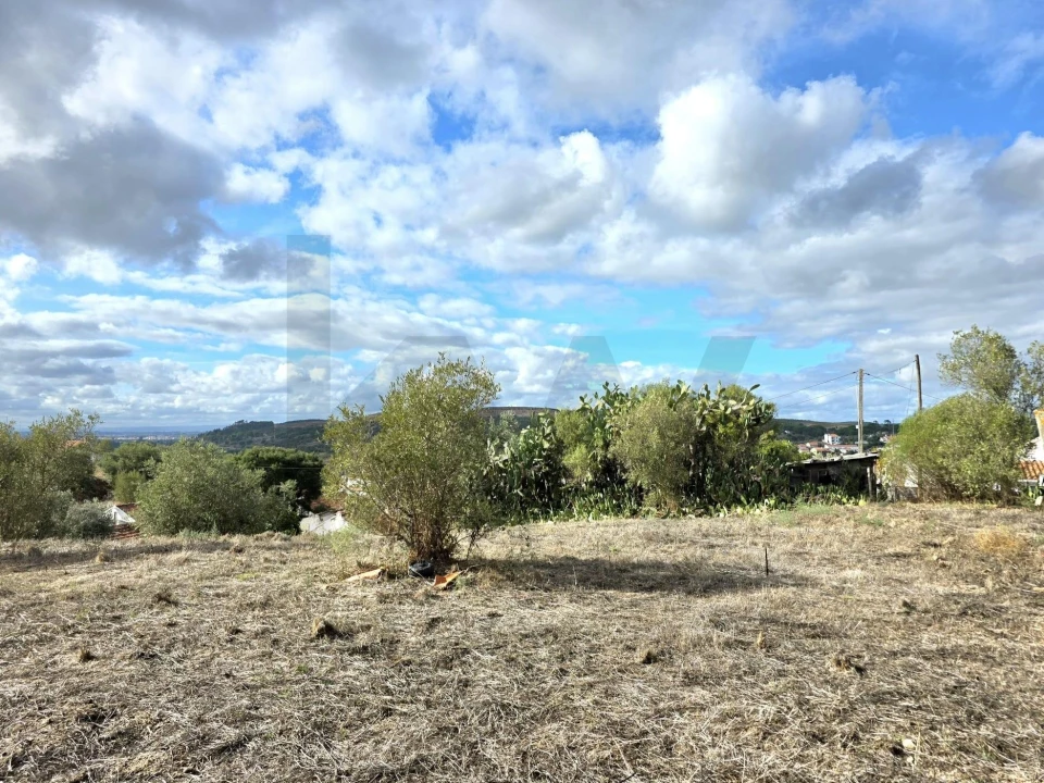 Terreno para Venda em Carregueira Foto 1