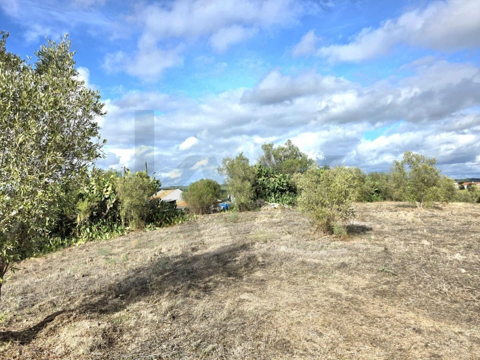 Terreno para Venda em Carregueira Foto 3