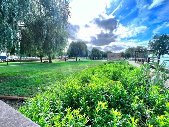 Terreno para Venda em Carregueira Foto 24