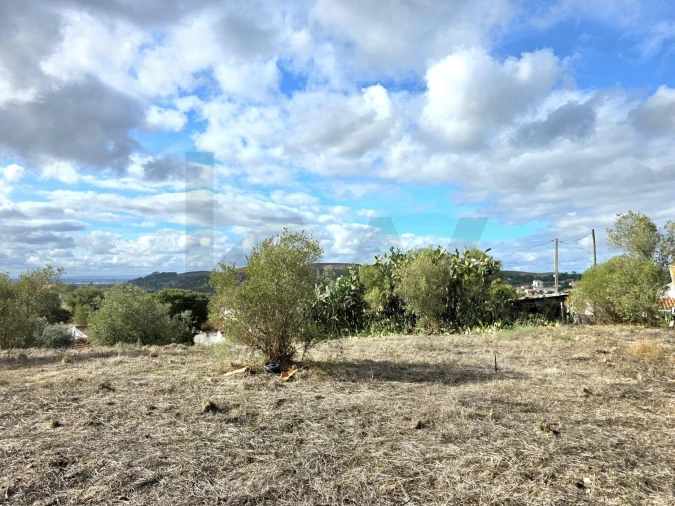 Terreno para Venda em Carregueira