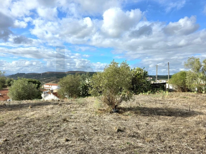 Terreno para Venda em Carregueira Foto 2